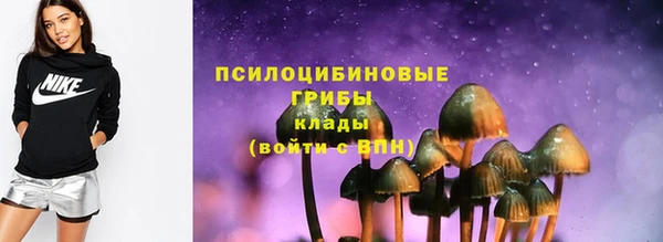 гашик Армянск