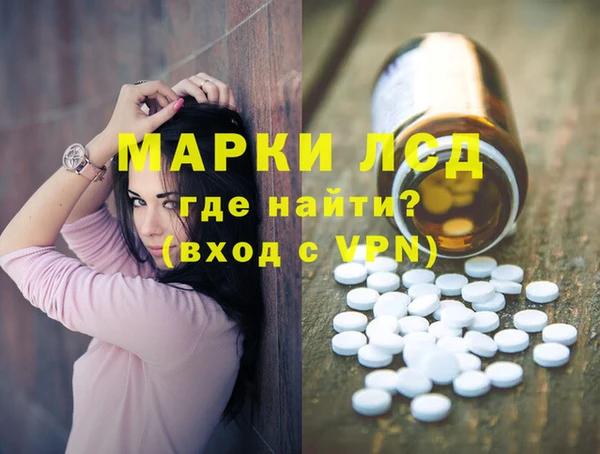 spice Аркадак
